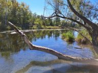 Brunnenwasser, Sept 2025